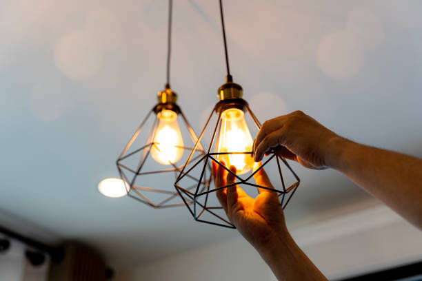 Best Electrical Repair Services  in Crystal Lake, IL
