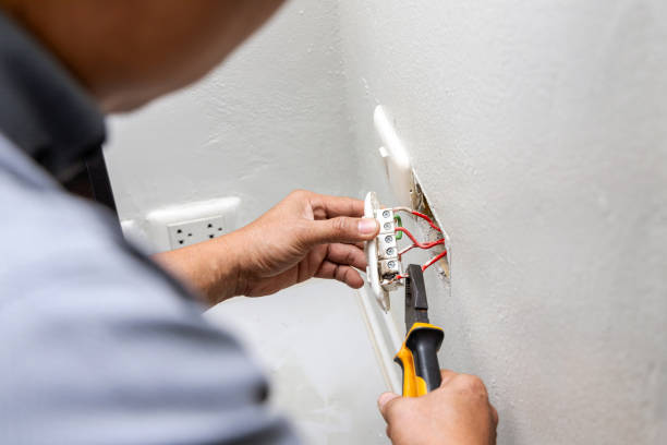 Best Electrical Troubleshooting Services  in Crystal Lake, IL